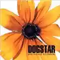 Dogstar Our Little Visionary