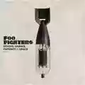 Foo Fighters Echoes, Silence, Patience & Grace