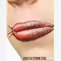 Elio e Le Storie Tese Studentessi