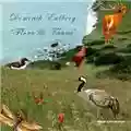 Dominik Eulberg Flora & Fauna