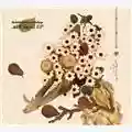 Satanicpornocultshop .aiff Skull EP