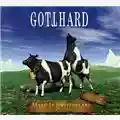 Gotthard Made In Switzerland