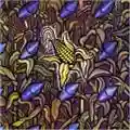 Bad Religion Against The Grain