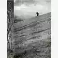 Paysage D'Hiver Paysage D'Hiver