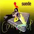 Suede Coming Up
