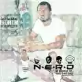 N.E.R.D. In Search Of...