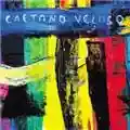 Caetano Veloso Livro