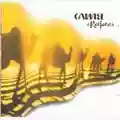 Camel Rajaz