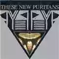 These New Puritans Beat Pyramid