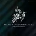 Between The Buried And Me The Silent Circus