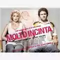 Judd Apatow Molto Incinta