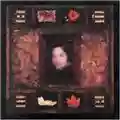 Dazzling Killmen Face Of Collapse