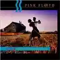 Pink Floyd A Collection of Great Dance Songs