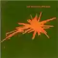 The Wedding Present Bizarro