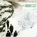 Echo and the Bunnymen Porcupine