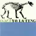 Yo La Tengo Ride the Tiger