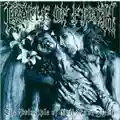 Cradle Of Filth The Principle Of Evil Made Flesh