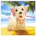 Fluke Puppy