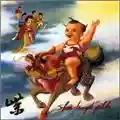 Stone Temple Pilots Purple