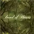 Band of Horses Everything All the Time