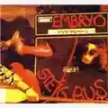 Embryo Steig Aus