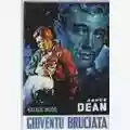 Nicholas Ray Gioventù bruciata