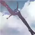 Free Free
