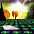 MGMT Oracular Spectacular