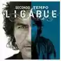 Ligabue Secondo tempo
