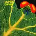 La recensione di Dr.Adder