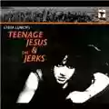 Teenage Jesus and The Jerks Everything