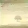 Genesis Wind & Wuthering