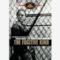 Sidney Lumet The Fugitive Kind - Pelle di Serpente