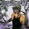 J-Ax Di sana pianta