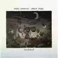 Andy Summers & Robert Fripp Bewitched