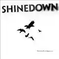 Shinedown The Sound Of Madness