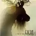 Lycia A Day in the Stark Corner
