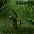 Decaying Purity Phases Of Dimensional Torture