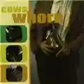 Cows Whorn