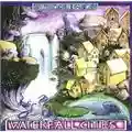 Ozric Tentacles Waterfall Cities