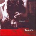 Hothouse Flowers Into Your Heart