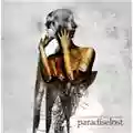 Paradise Lost The Anatomy Of Melancholy