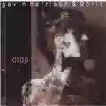 Gavin Harrison & 05ric Drop