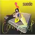 Suede Coming Up