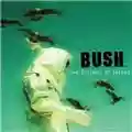 Bush The Science of Things