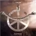 Carcass Heartwork