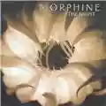 Morphine The Night