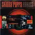 Skinny Puppy Rabies