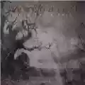 Draconian Arcane Rain Fell