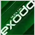 Silica Gel Exodo